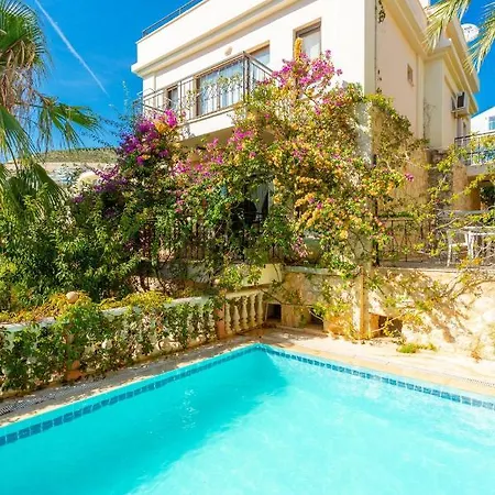 Villa With Private Pool Near The Sea And Nature View Violet Id:305 *