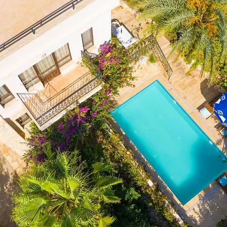 Villa With Private Pool Near The Sea And Nature View Violet Id:305 Kalkan