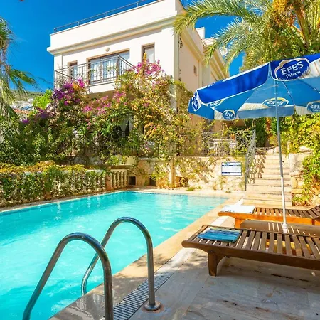 Villa With Private Pool Near The Sea And Nature View Violet Id:305 Kalkan