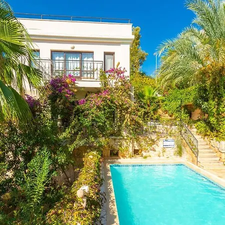 Villa With Private Pool Near The Sea And Nature View Violet Id:305