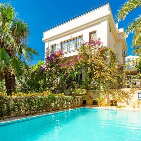 Villa With Private Pool Near The Sea And Nature View Violet Id:305