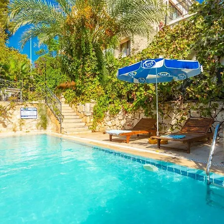 Villa With Private Pool Near The Sea And Nature View Violet Id:305 Kalkan