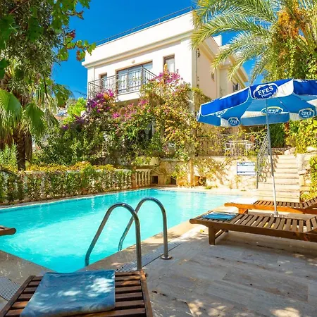 Villa With Private Pool Near The Sea And Nature View Violet Id:305